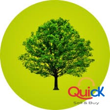 Plant Memorial Tree Online