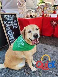 Salt Free Dog Treats